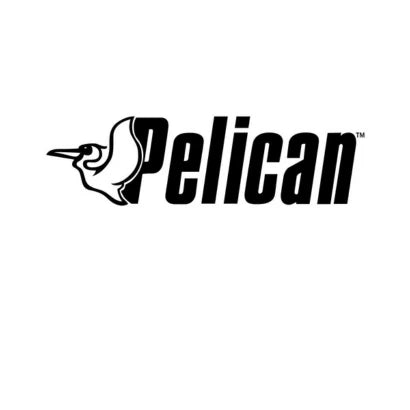 Pelican